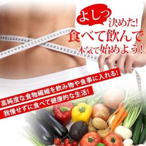 デキストリン 消化性 1kg 送料無料 難消化...の詳細画像2