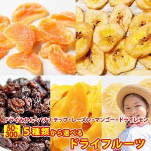 ドライみかん 500円 バナナチップス レーズン...の商品画像
