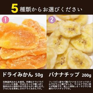 ドライみかん 500円 バナナチップス レーズ...の詳細画像5