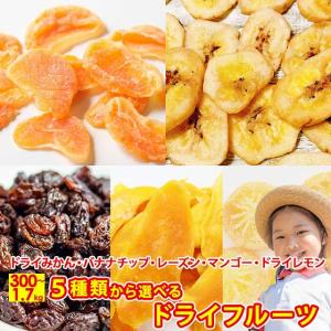 ドライみかん バナナチップス レーズン ドライマンゴー ドライレモン 選べる ドライフルーツ 5 ポイント利用 お試し商品 サンプル 爆買