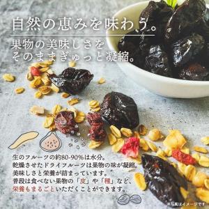 ドライみかん バナナチップス レーズン ドライ...の詳細画像2