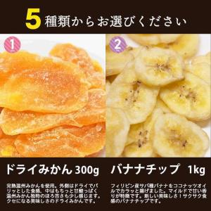 ドライみかん バナナチップス レーズン ドライ...の詳細画像5