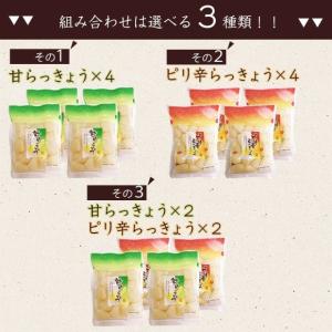 らっきょう らっきょう漬け ラッキョウ ピリ辛...の詳細画像4