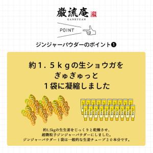 生姜 生姜パウダー 40g しょうがパウダー ...の詳細画像5