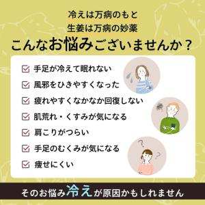 生姜パウダー 200g しょうがパウダー 生姜...の詳細画像1