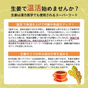 生姜パウダー 90g しょうがパウダー 生姜粉...の詳細画像2