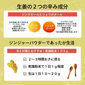生姜パウダー 90g しょうがパウダー 生姜粉...の詳細画像3