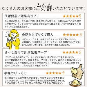 生姜パウダー 90g しょうがパウダー 生姜粉...の詳細画像4