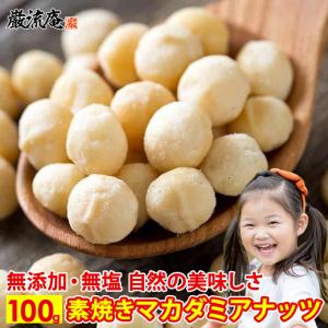 割れ マカダミアナッツ 素焼き 無塩 無添加 ロースト お試し 100g オーストラリア産 ナッツ 食物繊維 paypayの商品画像