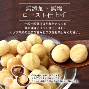 訳あり 割れ マカダミアナッツ 500円 50...の詳細画像1