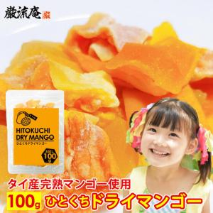 ドライマンゴー ひとくち ドライフルーツ お試し 100g 送料無料 ドライ マンゴー ジップロック タイ産 人気 ポイント消化  paypay Tポイント消化