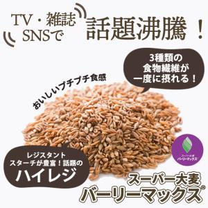 スーパー大麦 バーリーマックス 200g もち...の詳細画像1