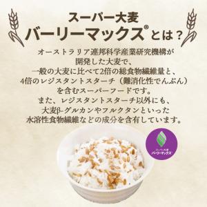 スーパー大麦 バーリーマックス 200g もち...の詳細画像3