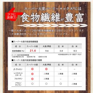 スーパー大麦 バーリーマックス 200g もち...の詳細画像4