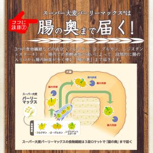 スーパー大麦 バーリーマックス 200g もち...の詳細画像5