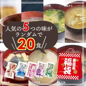 味噌汁 送料無料 インスタント 即席 ダイエッ...の詳細画像5