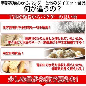 おからパウダー 1kg あさちゃん紹介 おから...の詳細画像3