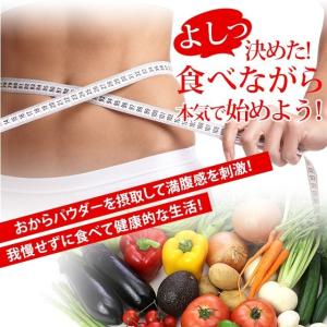 おからパウダー 1kg あさちゃん紹介 おから...の詳細画像5