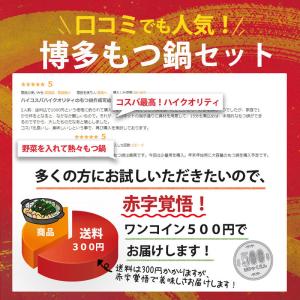 もつ鍋 セット お試し 500円 一人用 博多...の詳細画像5
