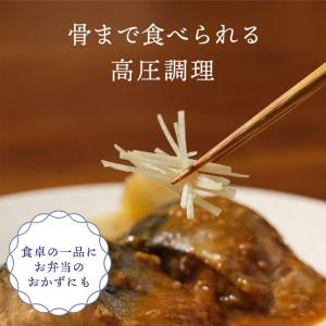 さばの味噌煮 さばの生姜煮 パウチ さばのみぞ...の詳細画像3