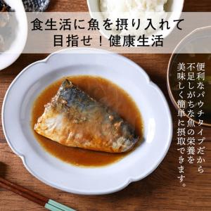 さばの味噌煮 さばの生姜煮 パウチ さばのみぞ...の詳細画像5