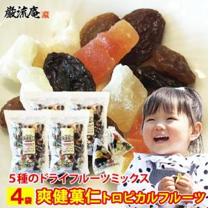 ドライフルーツ ミックス 1袋 爽健菓仁 レーズン パイナップル