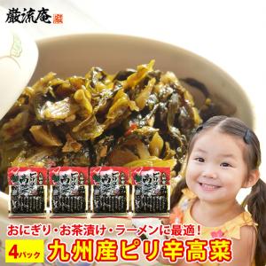 ポイント消化 高菜漬け 送料無料 からし高菜 辛子高菜 高菜 九州産 国産 本場 4パック セット 高菜チャー ポイント利用 お試し商品 サンプル