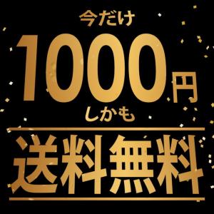 乾燥わかめ 徳島県産 カットわかめ 40g 韓...の詳細画像2