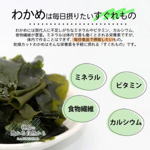 乾燥わかめ 110g 韓国のり 72枚 徳島県...の詳細画像5