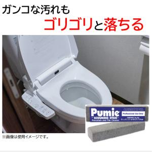 ピューミィ 2本セット 軽石 【メール便送料無...の詳細画像1