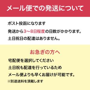 メリーヒール 靴底補強・補修材 紳士用 2足分...の詳細画像2