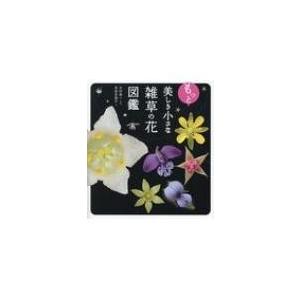 紫色の花 図鑑の商品一覧 通販 Yahoo ショッピング