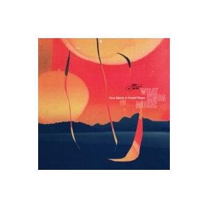 Tom Misch / Yussef Dayes What Kinda Music (2枚組アナログレコード