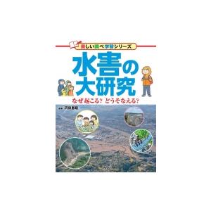 水害の大研究 なぜ起こる?どうそなえる? 楽しい調べ学習シリーズ / 河田惠昭  〔辞書・辞典〕