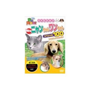 動物大好き!NEWニャンちゃんワンちゃんスペシャル100  〔DVD〕
