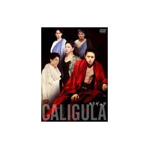 NHKエンタープライズ 新品 NHKスペシャル アインシュタインロマン DVD