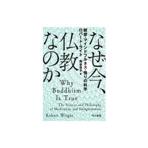 なぜ今、仏教なのか 瞑想・マインドフルネス・悟りの科学 ハヤカワ文庫NF / ロバート・ライト  〔...