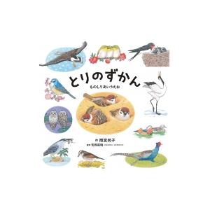 とりのずかん コドモエのえほん / 雨宮尚子 〔絵本〕
