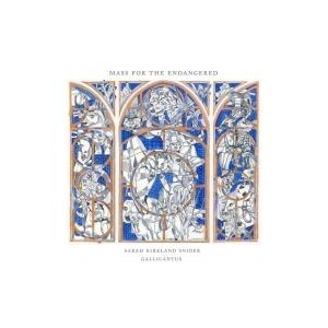 中古】 Mendelssohn/Tchaikovsky / Violin Concertos 〔CD
