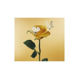 あいみょん / おいしいパスタがあると聞いて 【初回限定盤】(2CD) 〔CD〕
