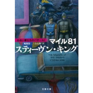 ダークタワー I‐VII 角川文庫 全14巻 スティーヴン・キング 風間 賢二