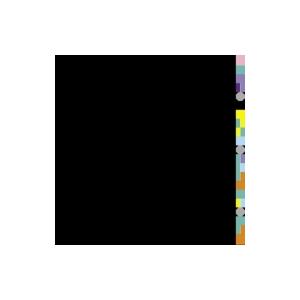 New Order ニューオーダー / Blue Monday (2020 Remaster)(12...