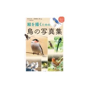 絵を描くための鳥の写真集 トレース 模写が自由 宮本桂 本 Hmv Books Online Yahoo 店 通販 Yahoo ショッピング