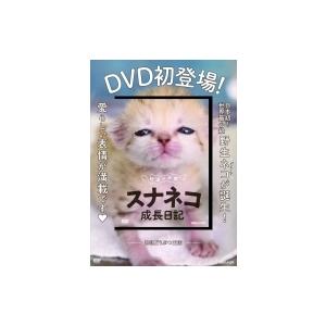 砂漠の天使スナネコ成長日記 DVD / 那須どうぶつ王国  〔本〕