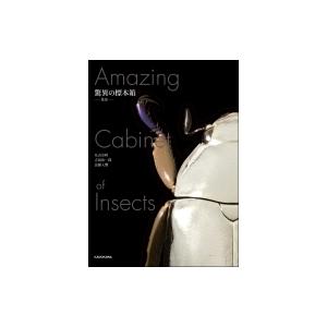 驚異の標本箱 昆虫 / 丸山宗利  〔図鑑〕