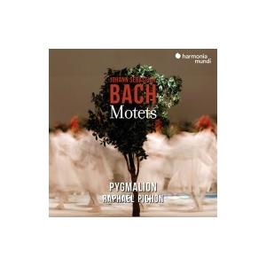 Pygmalion/Raphael Pichon / Bach: Motets