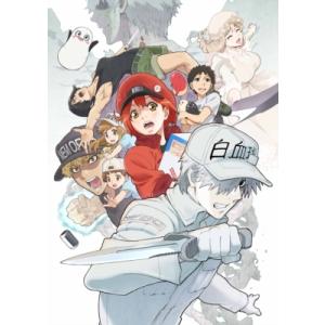 TVアニメ はたらく細胞BLACK 全巻 1-7 DVD セット : 脳トレ生活 - 通販