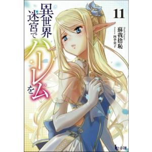 異世界迷宮でハーレムを 11 ヒーロー文庫 / 蘇我捨恥  〔文庫〕