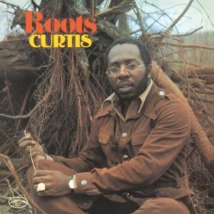 Curtis Mayfield カーティスメイフィールド / Roots (オレンジ・ヴァイナル仕様 / アナログレコード)  〔LP〕