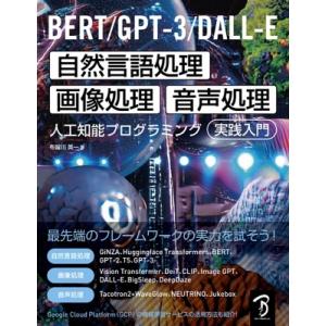 BERT / GPT-3 / DALL-E 自然言語処理・画像処理・音声処理 人工知能プログラミング...
